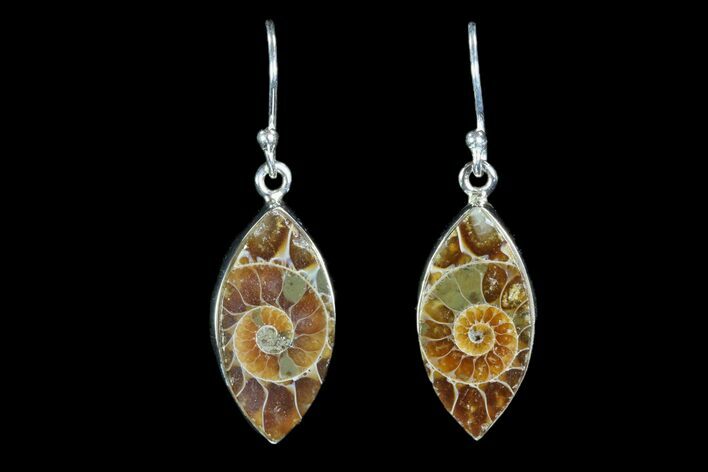 Fossil Ammonite Earrings - Sterling Silver #81636